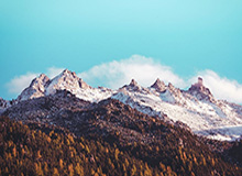 华体会官方网站-安切洛蒂：弗爵曾找我接手曼联 可惜我答应了皇马